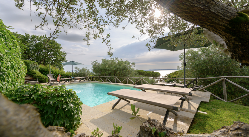 Photo of Sunshine Rhapsody