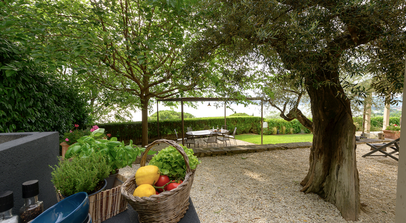 Photo of Sunshine Rhapsody