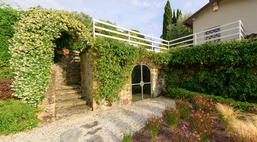 Photo of Sunshine Rhapsody