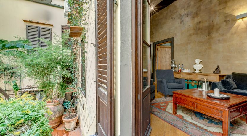 Photo of High as Hope