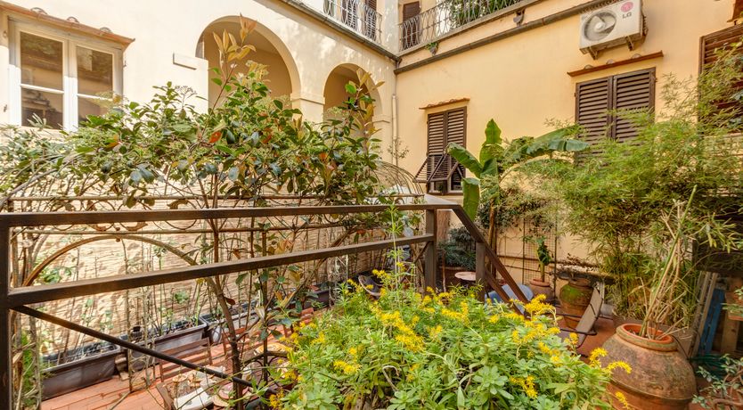 Photo of High as Hope