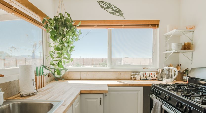 Photo of The Chaparral Oasis