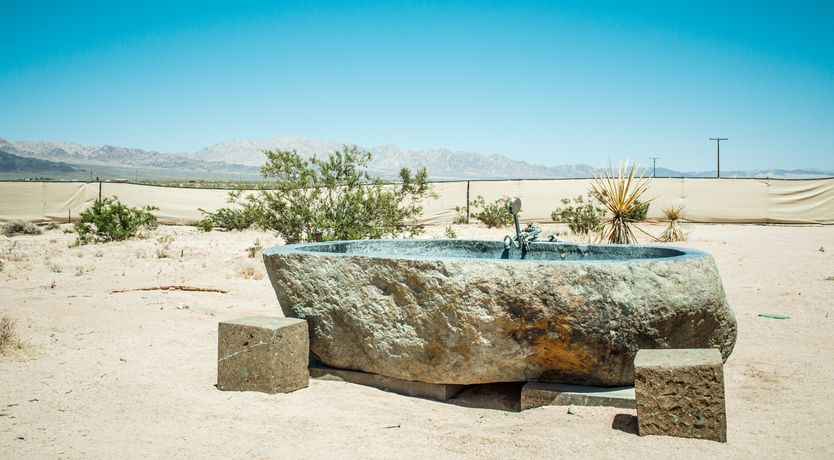 Photo of The Chaparral Oasis