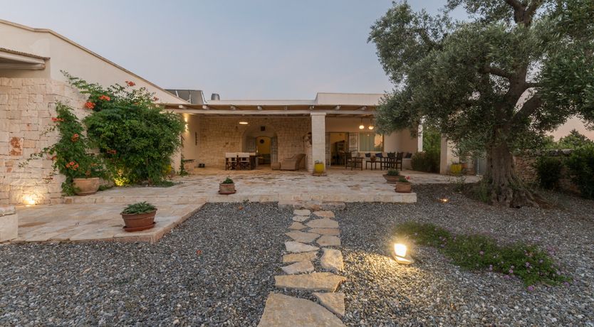 Photo of Italian Haze