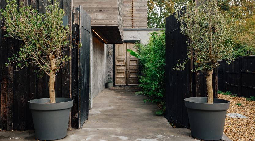 Photo of Head Over Hills