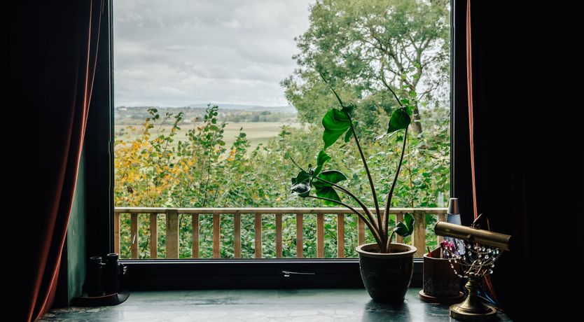 Photo of Head Over Hills