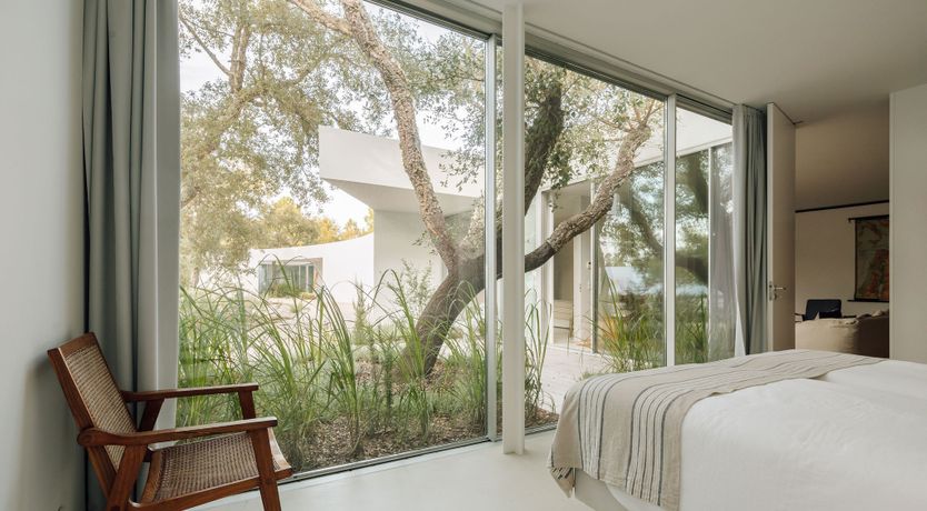 Photo of The Spirit of Joy