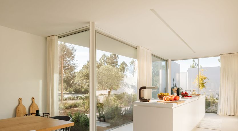 Photo of The Spirit of Joy