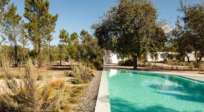 Photo of The Spirit of Joy