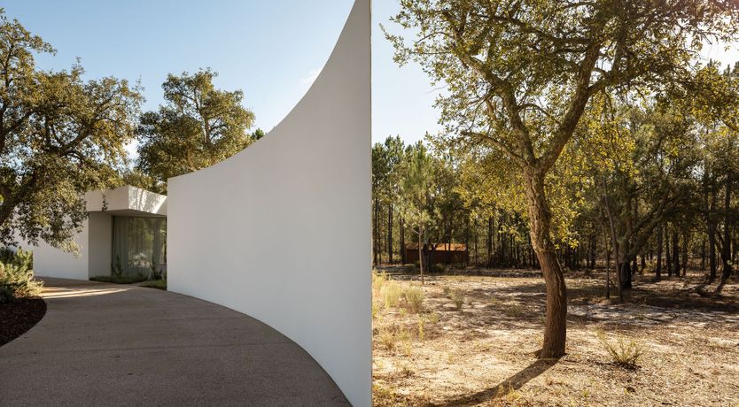 Photo of The Spirit of Joy