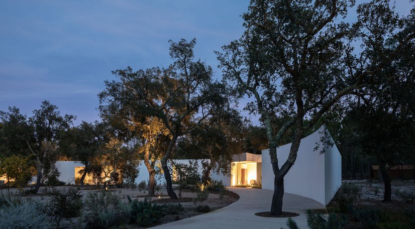 Photo of The Spirit of Joy