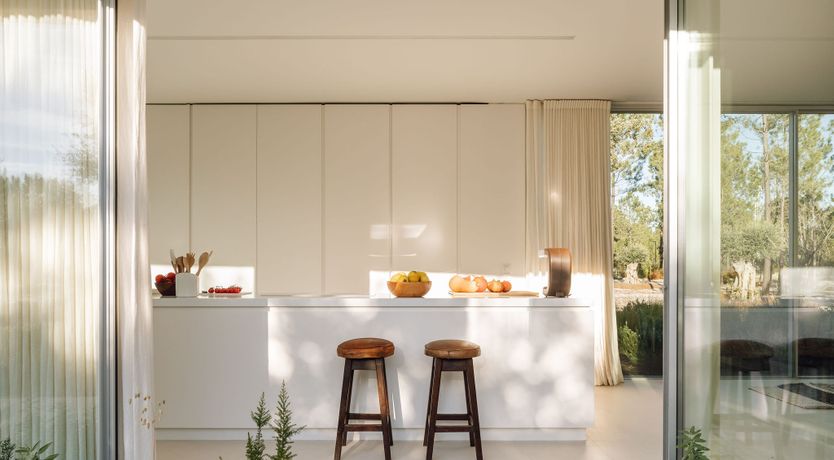 Photo of The Spirit of Joy