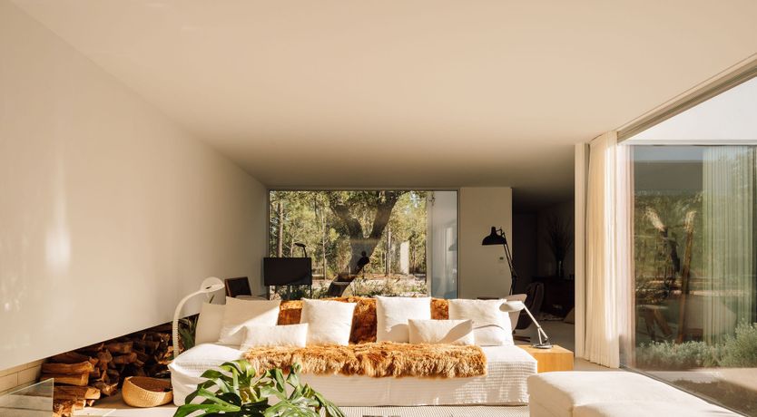 Photo of The Spirit of Joy