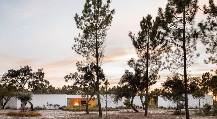 Photo of The Spirit of Joy