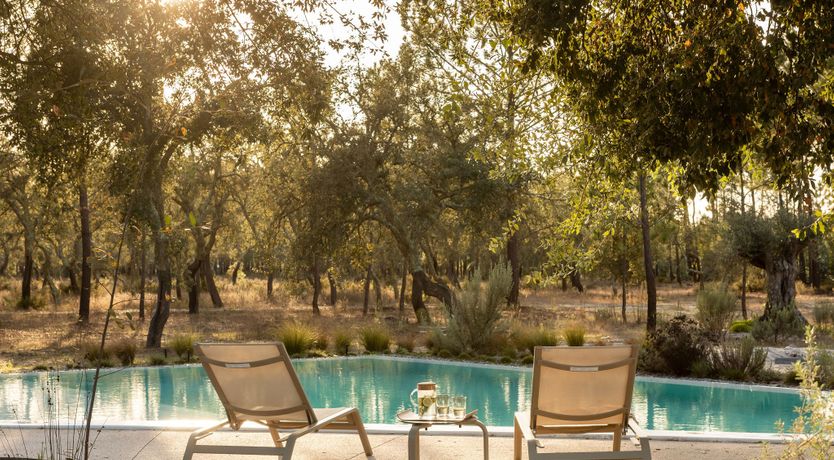 Photo of The Spirit of Joy