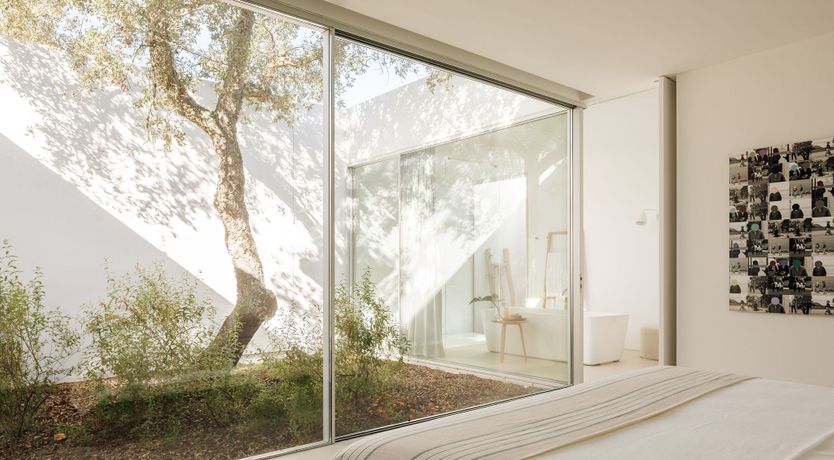 Photo of The Spirit of Joy