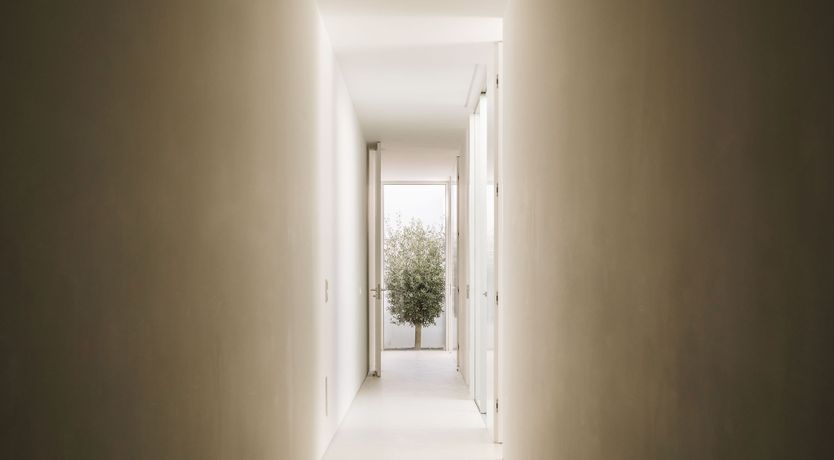 Photo of The Spirit of Joy