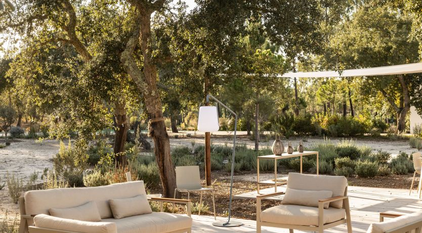 Photo of The Spirit of Joy