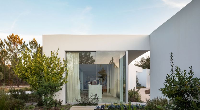 Photo of The Spirit of Joy