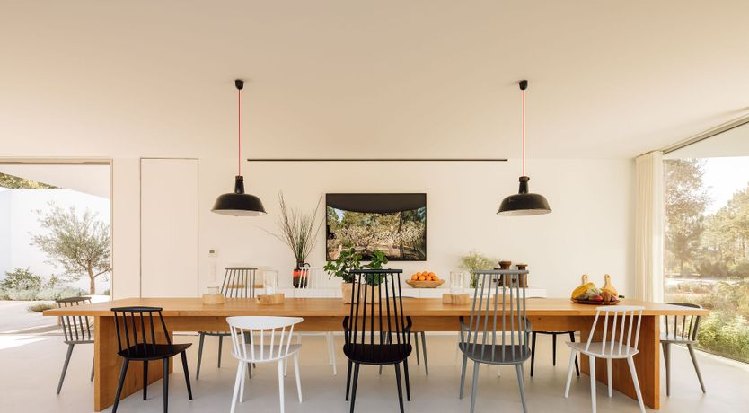 Photo of The Spirit of Joy