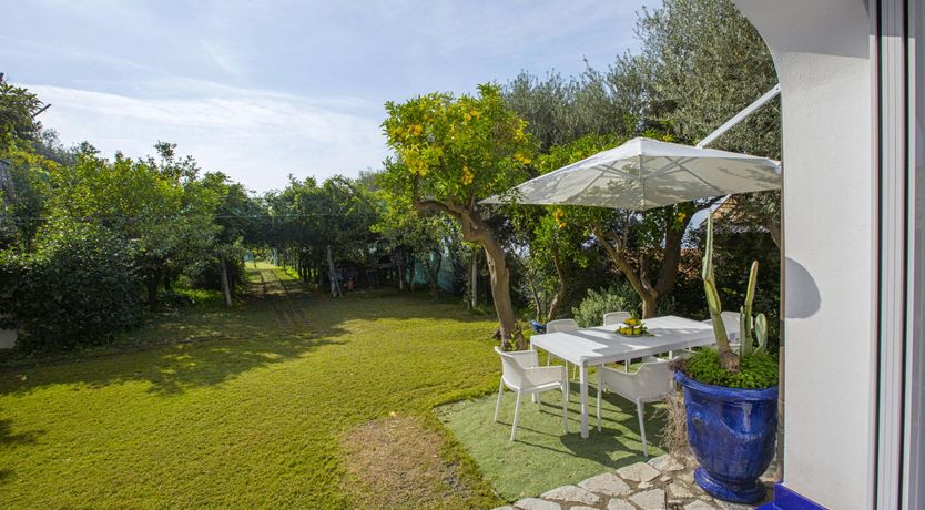 Photo of Sapphire Skyline