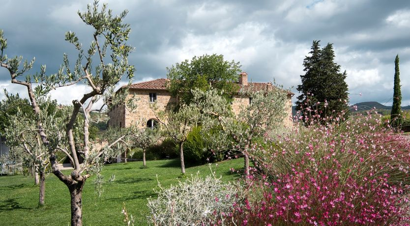 Photo of Dream of Light