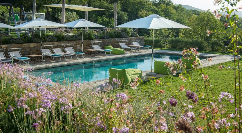 Photo of Dream of Light