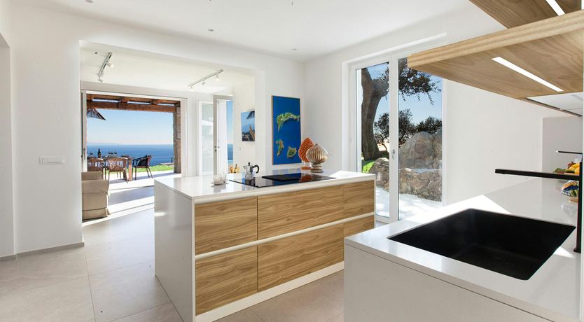 Photo of Moonlight Dreams