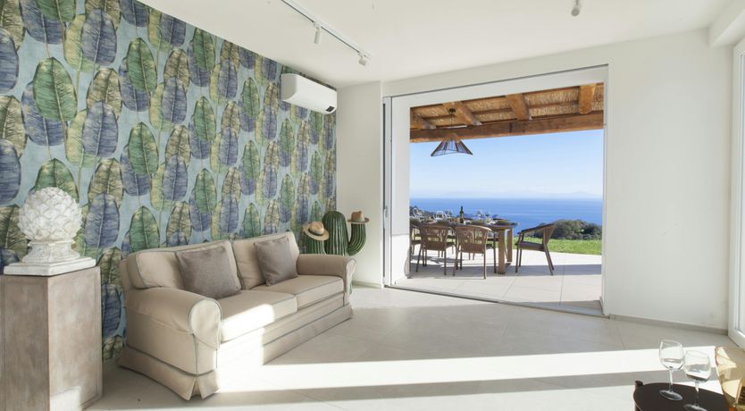 Photo of Moonlight Dreams