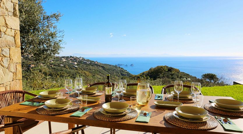 Photo of Moonlight Dreams