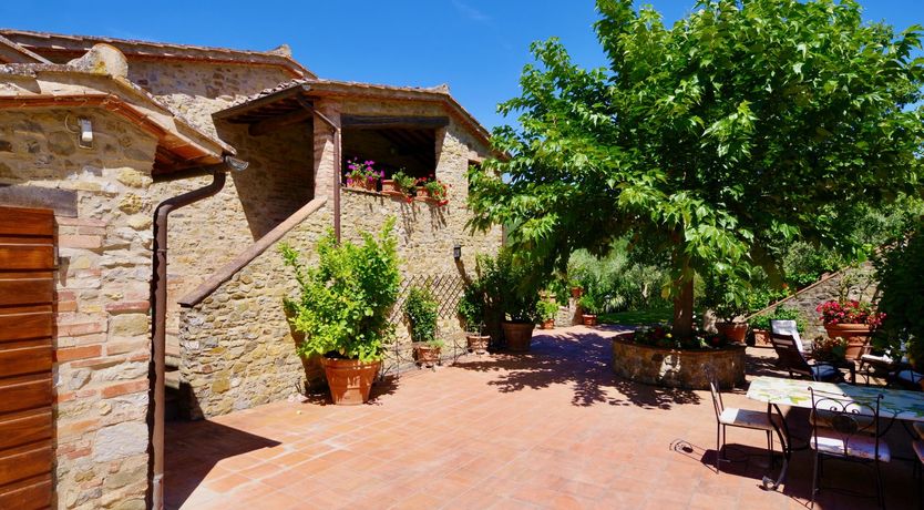 Photo of Tuscan Roses