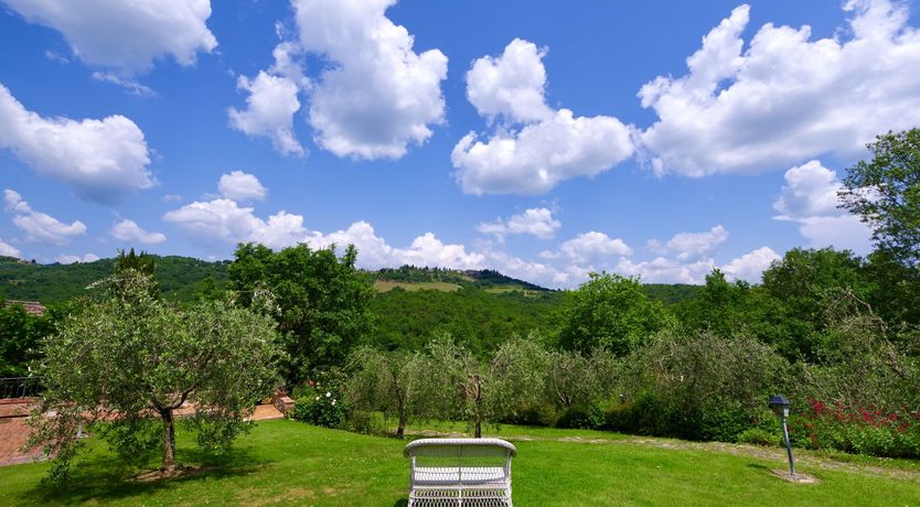 Photo of Tuscan Roses