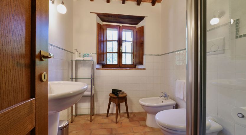 Photo of Tuscan Roses