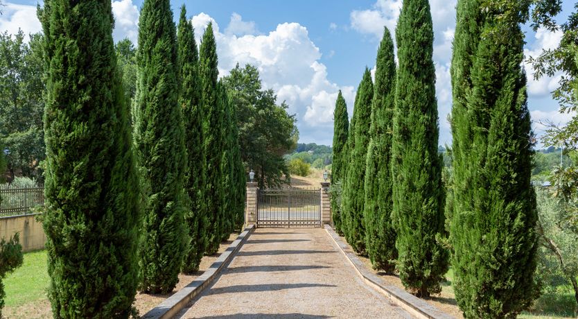 Photo of Tasting The Tuscan Lifestyle