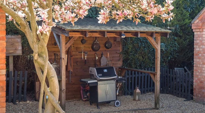 Photo of Forest of Wonders