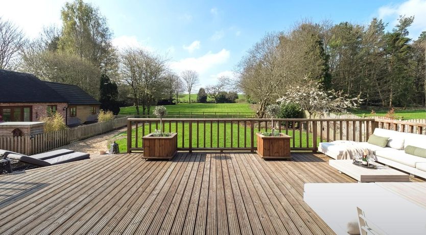 Photo of Forest of Wonders