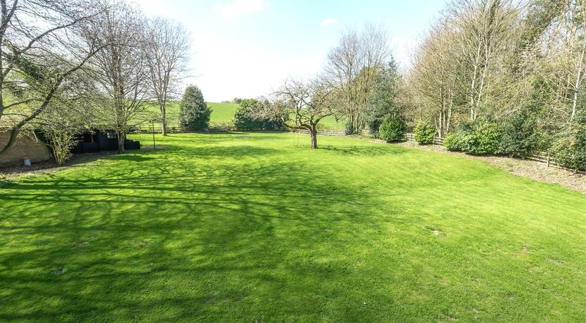 Photo of Forest of Wonders