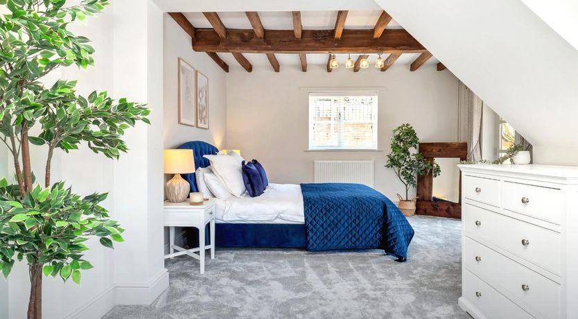 Photo of Forest of Wonders