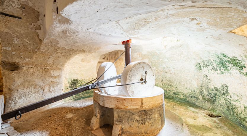 Photo of Burnished Splendor