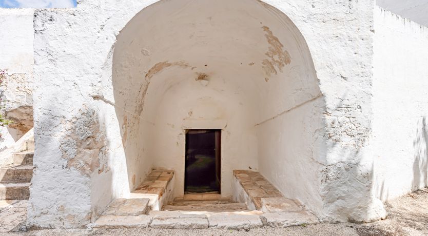 Photo of Burnished Splendor