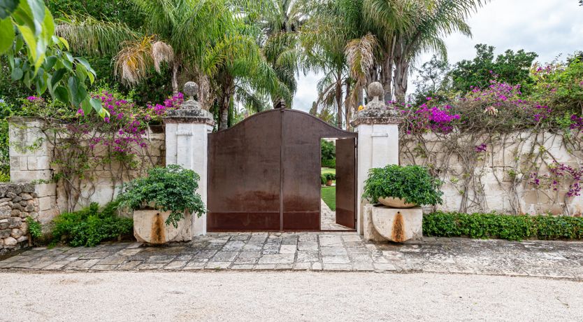 Photo of Burnished Splendor