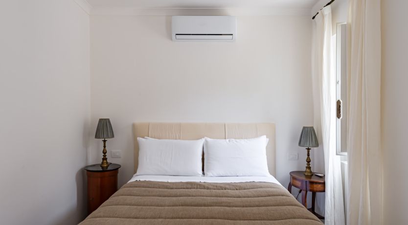 Photo of Burnished Splendor