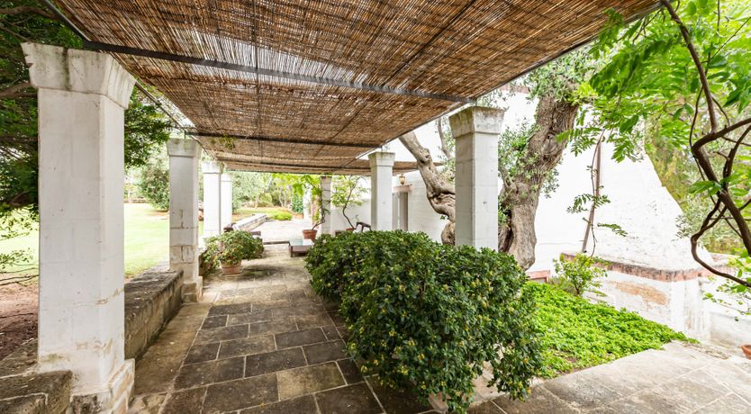 Photo of Burnished Splendor