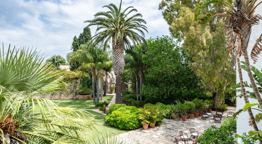 Photo of Burnished Splendor