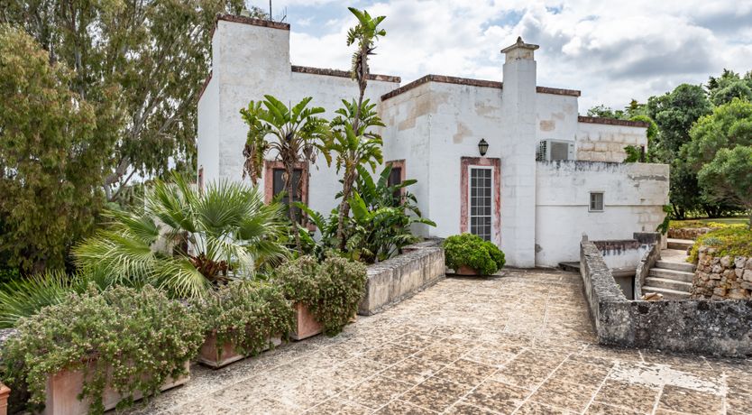 Photo of Burnished Splendor