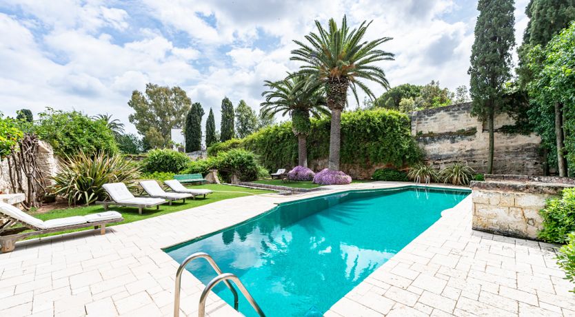 Photo of Burnished Splendor