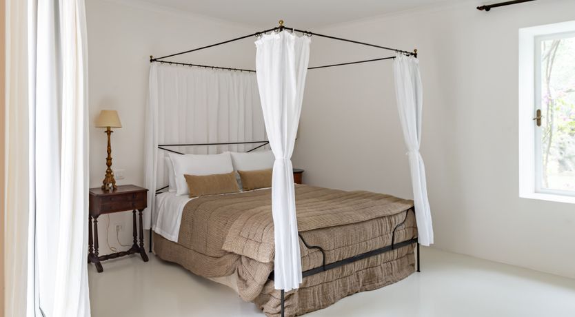 Photo of Burnished Splendor