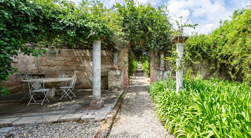 Photo of Burnished Splendor