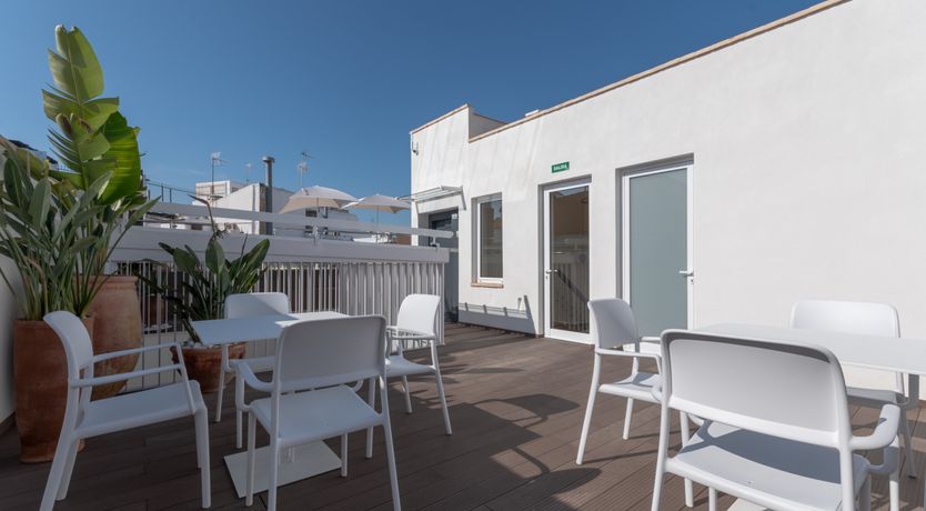 Photo of Prowl the Night