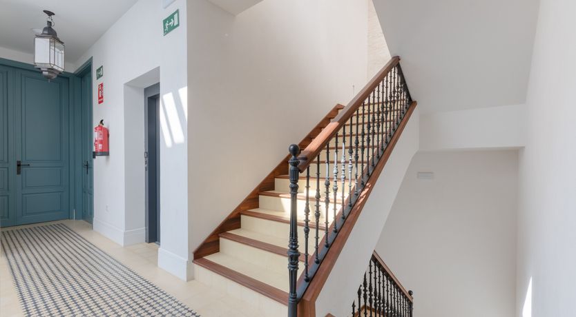 Photo of Prowl the Night